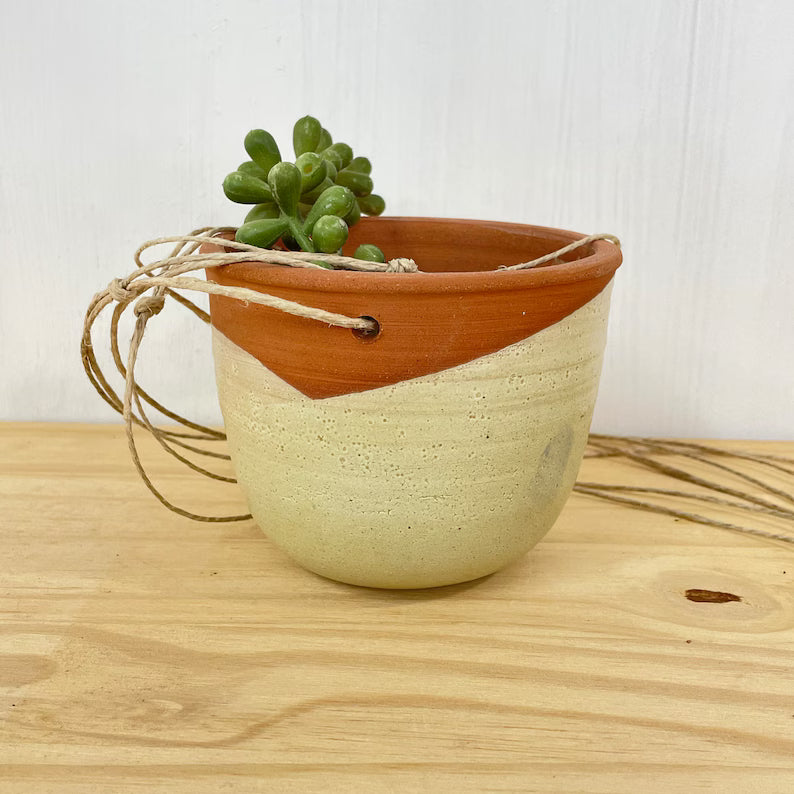 Hanging Planter - Succulent or Cacti