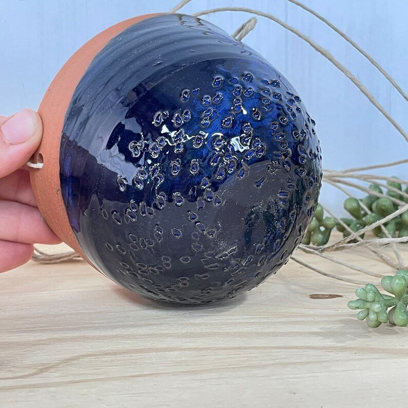 Hanging Planter - Succulent or Cacti