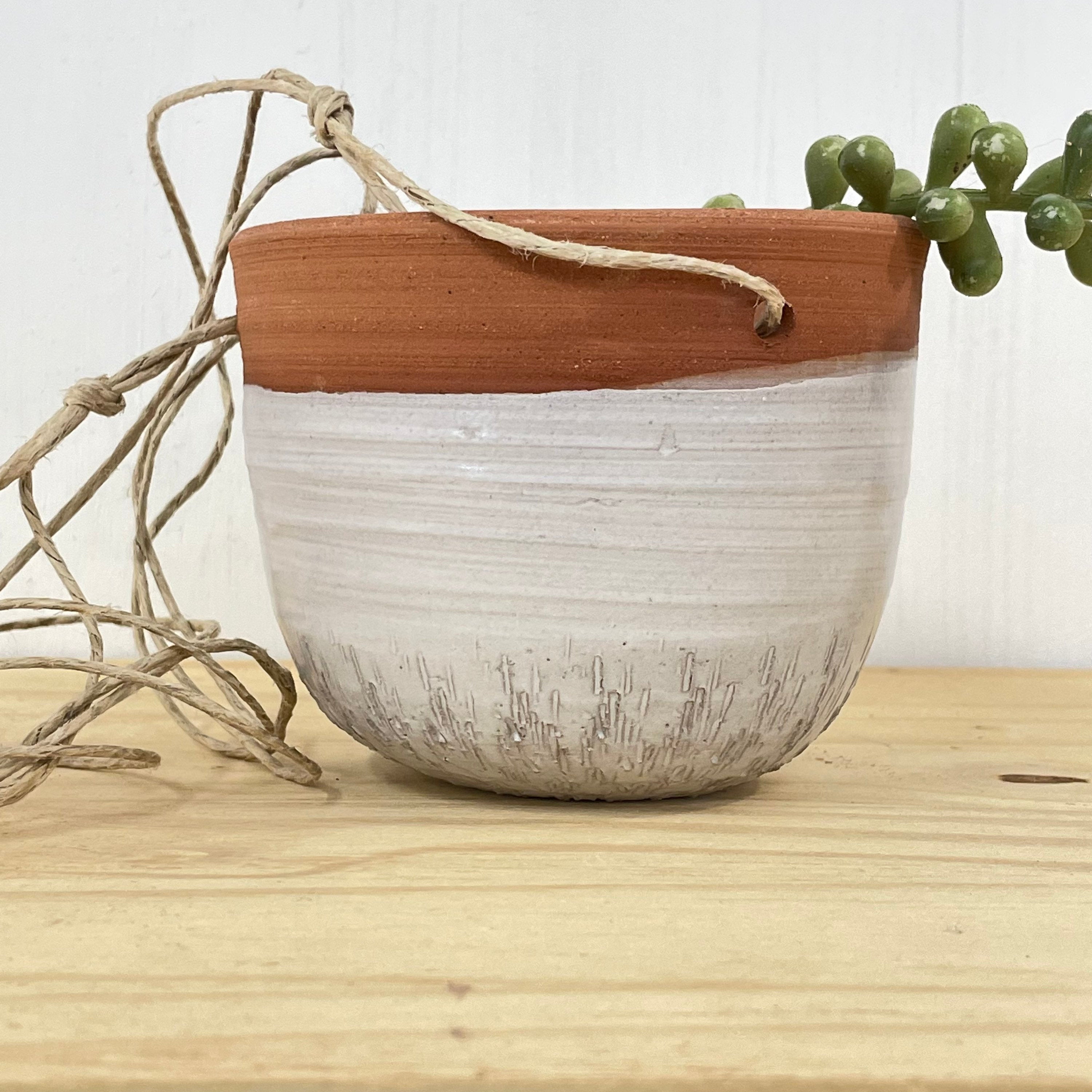 Hanging Planter - Succulent or Cacti - Large Multiple Colors